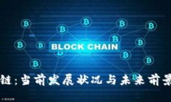盛源链：当前发展状况与未来前景分析
