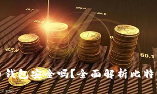 电脑上比特币钱包安全吗？全面解析比特币钱包安全性