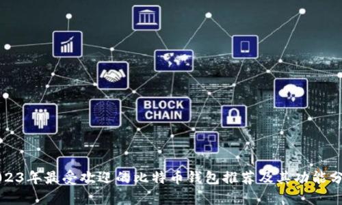 2023年最受欢迎的比特币钱包推荐及其功能分析