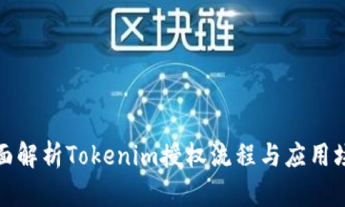 全面解析Tokenim授权流程与应用场景