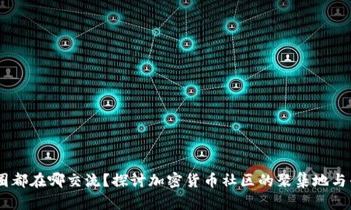 币圈都在哪交流？探讨加密货币社区的聚集地与平台