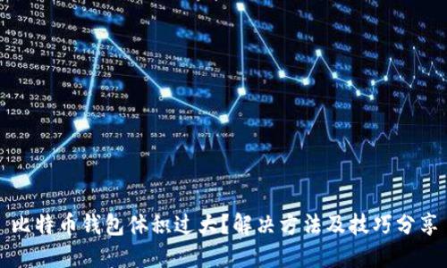 比特币钱包体积过大？解决方法及技巧分享