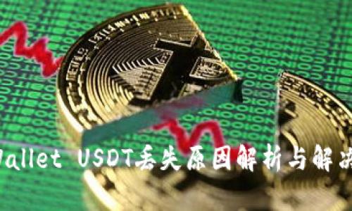 TP Wallet USDT丢失原因解析与解决方案