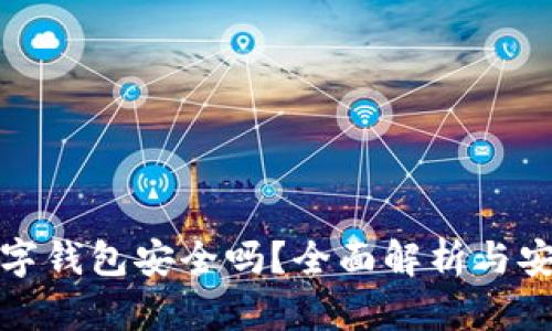 下载数字钱包安全吗？全面解析与安全建议