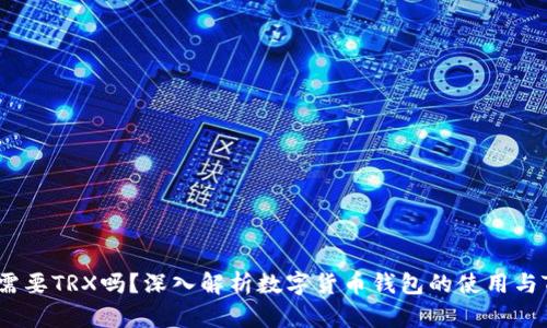 钱包导入需要TRX吗？深入解析数字货币钱包的使用与TRX的关系