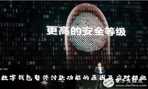 数字钱包暂停付款功能的原因及应对措施