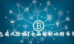 存比特币钱包有风险吗？全面解析比特币钱包的