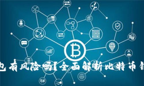 存比特币钱包有风险吗？全面解析比特币钱包的安全性