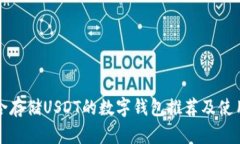 最适合存储USDT的数字钱包推荐及使用指南
