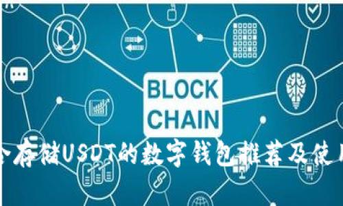 最适合存储USDT的数字钱包推荐及使用指南