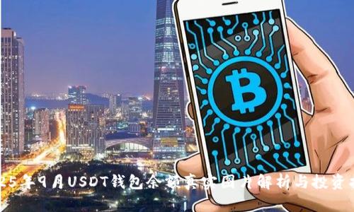 2025年9月USDT钱包余额真实图片解析与投资指南