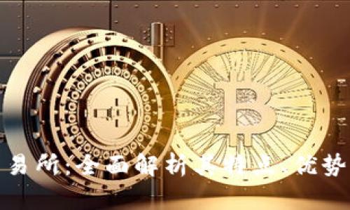 波场交易所：全面解析其特点、优势与风险