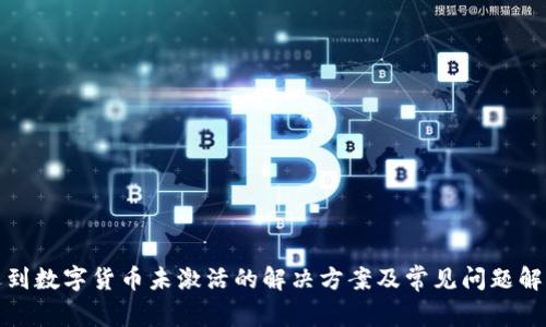 遇到数字货币未激活的解决方案及常见问题解析