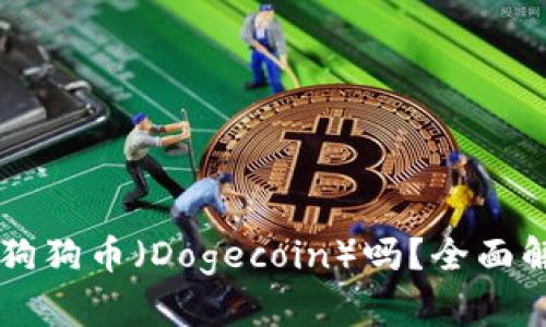 麦子钱包支持狗狗币（Dogecoin）吗？全面解读与使用指南