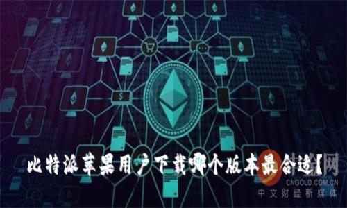 比特派苹果用户下载哪个版本最合适？