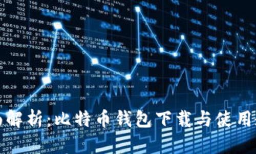 全面解析：比特币钱包下载与使用教程