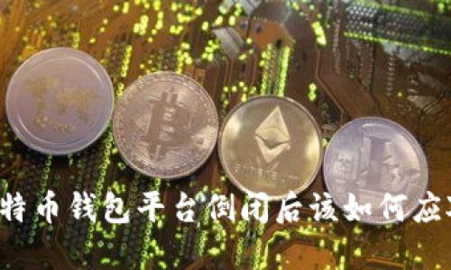 比特币钱包平台倒闭后该如何应对？