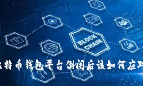 比特币钱包平台倒闭后该如何应对？
