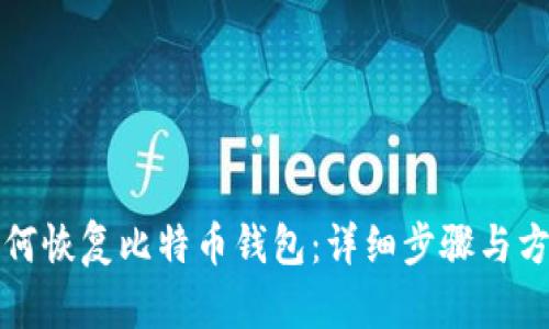 如何恢复比特币钱包：详细步骤与方法