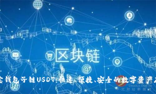 全面解析波宝钱包子链USDT：快速、便捷、安全的数字资产存储解决方案