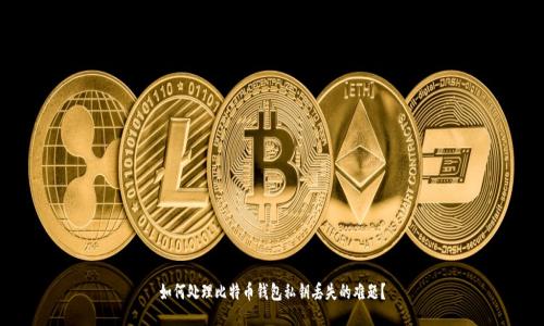 如何处理比特币钱包私钥丢失的难题？