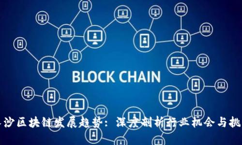 长沙区块链发展趋势: 深度剖析行业机会与挑战