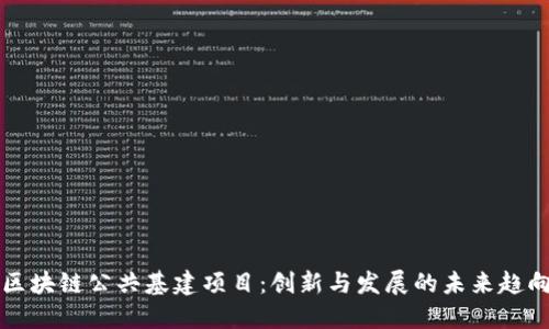 区块链公共基建项目：创新与发展的未来趋向