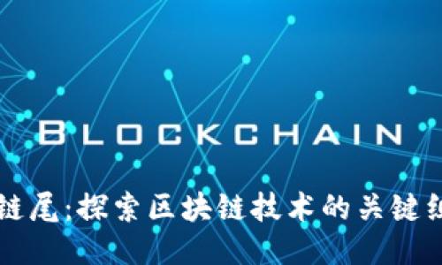 区块链链尾：探索区块链技术的关键组成部分