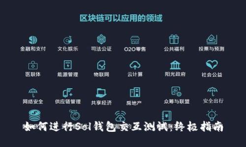 如何进行Sol钱包交互测试：终极指南