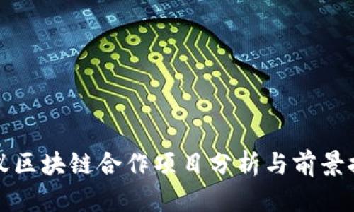 蚂蚁区块链合作项目分析与前景探讨