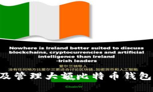 如何选择及管理大额比特币钱包:全面指南