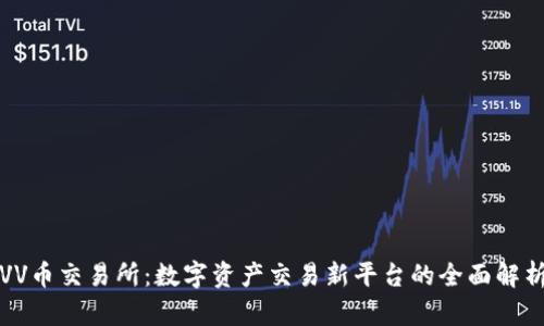 VV币交易所：数字资产交易新平台的全面解析