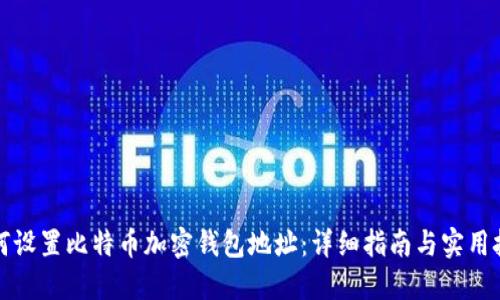 如何设置比特币加密钱包地址：详细指南与实用技巧