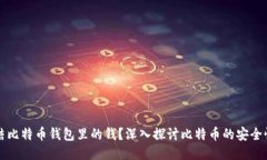 能不能冻结比特币钱包里的钱？深入探讨比特币