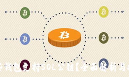   
哪些钱包支持SOL公链？全面解析与推荐