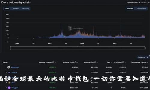 揭秘全球最大的比特币钱包：一切你需要知道的
