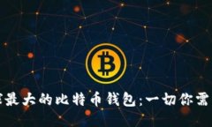 揭秘全球最大的比特币钱包：一切你需要知道的