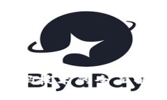 : 数字货币密码技术的全面解析与应用前景