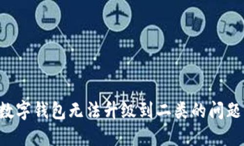 如何解决数字钱包无法升级到二类的问题：详尽指南
