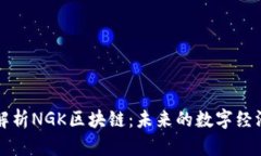 深度解析NGK区块链：未来的数字经济引擎